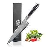 ZJIANKJ Kitchen Knife 8 Inch, 67-Layer Damascus Steel Chef Knife, High Carbon Super Sharp Japanese Cooking Knife with Ergonomic Ebony Handle for Meat Vegetable