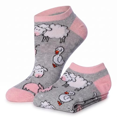 Image of Tipi Toe Women's 10 Pairs Lightweight Colorful Socks - Fun Low Cut Patterns for All-Day Comfort and Easy Everyday Style