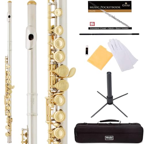 Image of Mendini by Cecilio 16 Keys Closed Hole C Flute Kit for Beginners - Gold | Beginner Flute Kit with Carrying Case, Stand, Tuning Rod, Adjustment Screws, Cork Grease, Lesson Book, Cleaning Kit, Gloves