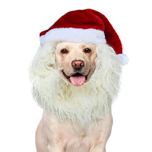 LpNX}XT^nbg - T^Xq | ybg̈ߑ ~̓X  O Ƒ FB  eB[  N q ޏ