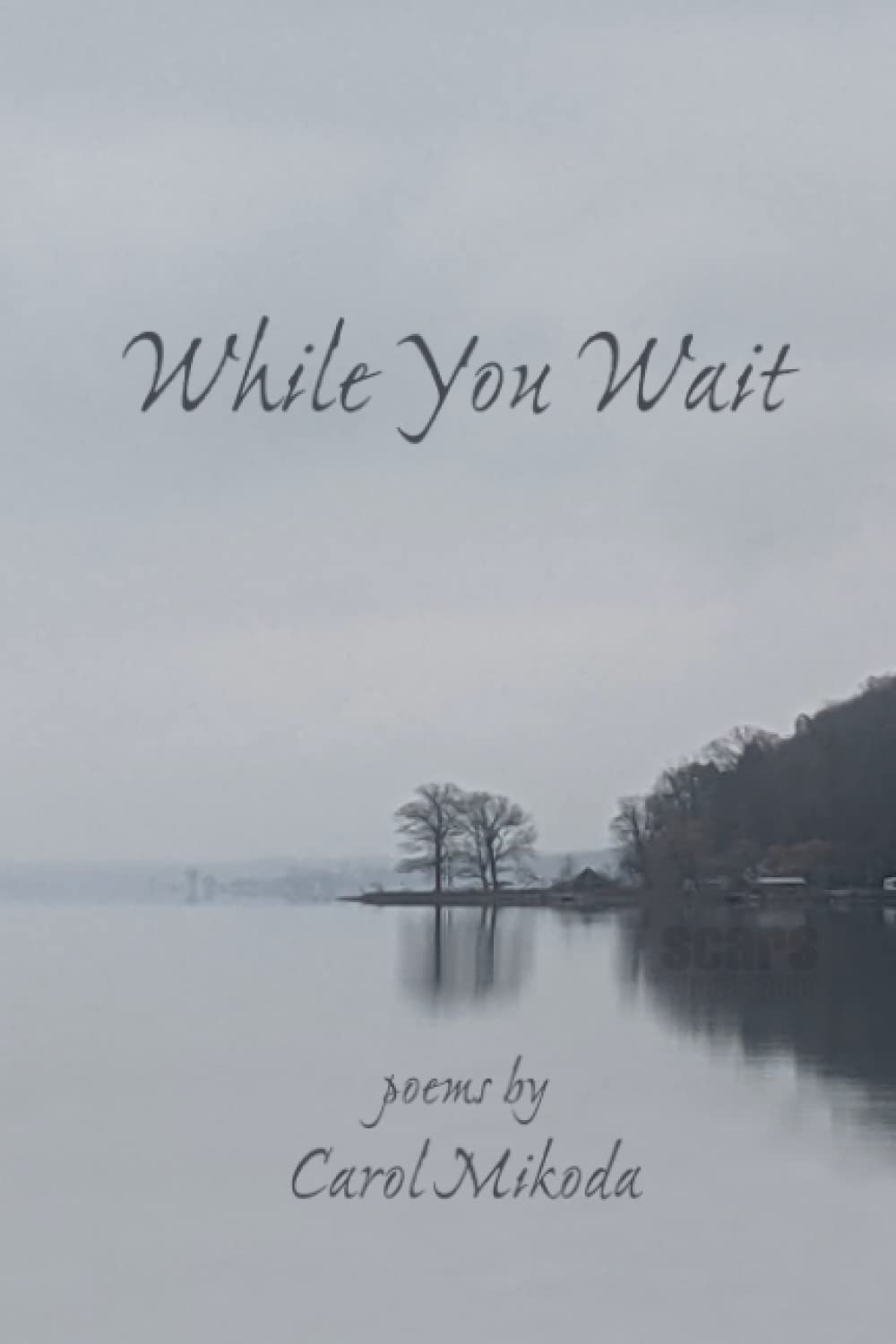 While You Wait