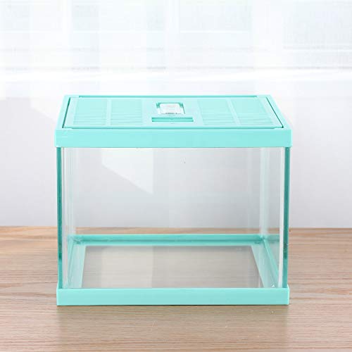 crapelles Tanque de terrário para répteis, caixa de aranha saltadora de caracol, caixa de insetos de