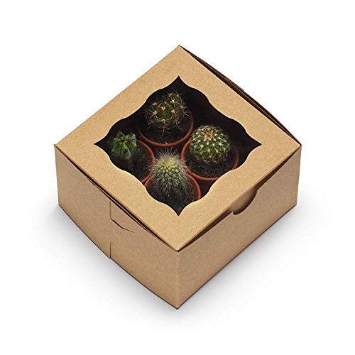 Image of Pack of 10 (Size,6X6X2),Brownie Box 4 Brownie Holder