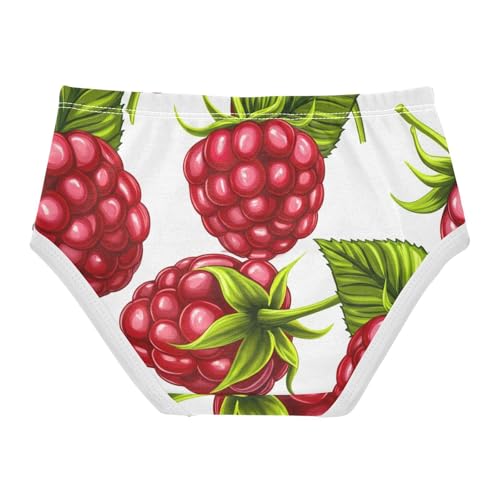 Toddler Underwear Floral 2t Cotton Little Girl Panties Artistic Briefs Kids Undies Juicy Red Raspberries White2
