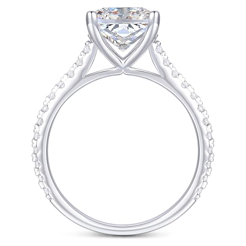 14K White Gold Moissanite Engagement Rings, 14K White Gold 3CT Elongated Cushion Cut Moissanite Rings, 14K Cushion Moissanite Engagement Rings for Women3