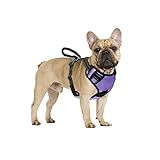 PREMIUM-MATERIAL: Hergestellt aus umweltfreundlichem Oxford-Material mit zarter Haptik. Langlebig, leicht und weich. Das schlichte Design erleichtert das An- und Ausziehen und eignet sich für den täglichen Gebrauch.