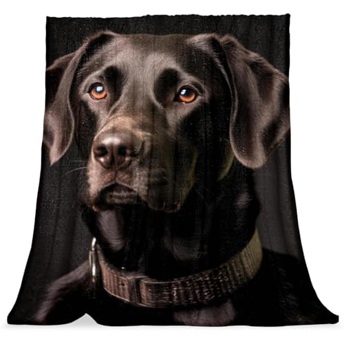 p̃X[uPbgA\t@puPbgX[,O̍ uPbgA59x39.3C`