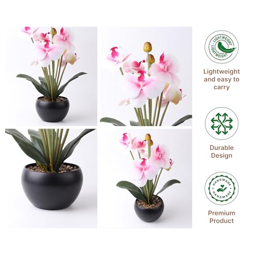 Image of Habere India-All the Cultures Fabricating India Moth Orchid Artificial Plants with Pot for Home Decor | Small Fake Flower Plants for Living Room & Indoor Decoration (Design03: L12 x W12 x H33 cm)