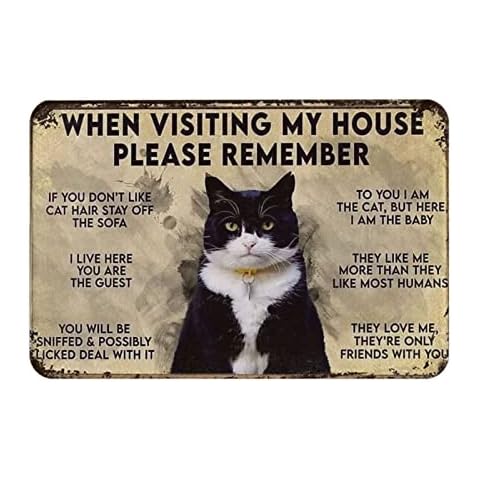 Bibilboi When Visiting My House Please Remember Funny Cat Entrance Non-Slip Absorbent Resist Dirt Doormat Entrance Rug Inside Floor Mats for Home Bedroom Kitchen Front Porch 20"×31.5" Cover