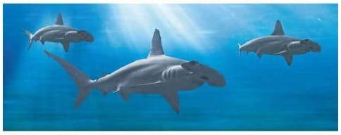Animated Hammerhead Sharks 3D Bookmark - Ruler