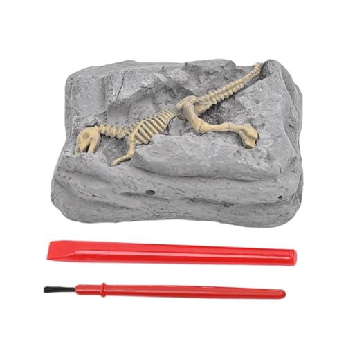 Kit de excavación de Dinosaur - Conjunto de Actividades de arqueología de Ciencias educativas de Stem Hechas a Mano | Experimento de Ciencias Infantiles Material de excavación de Dinosaurios pa