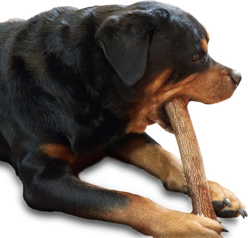 Natürlicher Kauknochen aus Neemholz für Welpen XS | Sicheres & Zahnpflegendes Kauspielzeug | Langanhaltender Kauspaß & Beschäftigung | Kaustab aus Neem Holz für Welpen & Kleine Hunde (S)