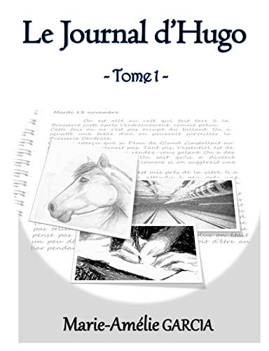 Télécharger Le Journal d'Hugo Gratuit