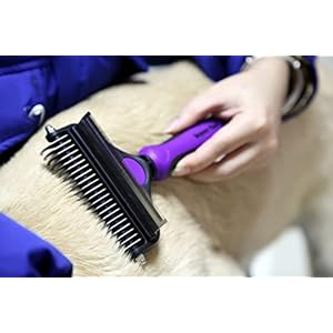 Maxpower Planet Dog Brush Cat Brush  Pets Deshedding Brush Dog Grooming Rake  2 Sided Pet Grooming Tool  Dog Undercoat Rake  Dog Rake Brush  Effectively Reduces Shedding by Up to 95 Large Size  Cucciolini Doodles Maxpower planet dog brush cat brush  pets deshedding brush dog grooming rake  2 sided pet grooming tool  dog undercoat rake  dog rake brush  effectively reduces shedding by up to 95 large size   cucciolini doodles