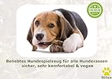 Stilux® Kauhloz aus Olivenholz für Hunde bis 10Kg, Größe S, Kauknochen Hundespielzeug, langlebiges Holzknochen Kauspielzeug zur Hund Zahnpflege
