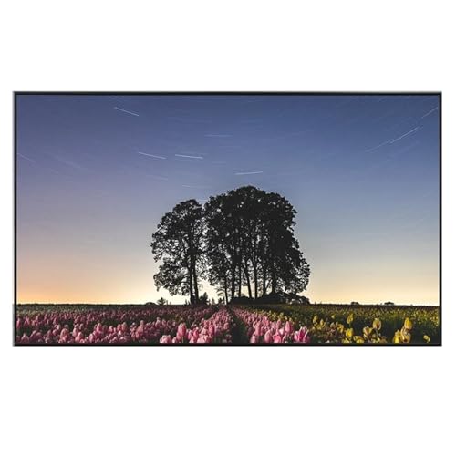 Pantalla portátil para proyector tela anti reflectante 100 pulg