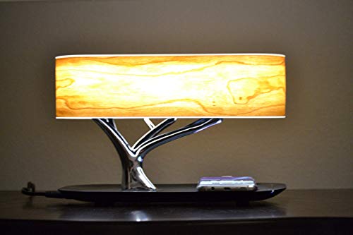 Sbotlight Bedside Lamp With Bluetooth Speaker And Wireless Charger Desk Lamp For All Phones With Wireless Charging #TOP7