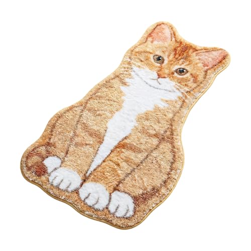 Alfombrilla de ducha para perros ideal en decoración de entrada 2