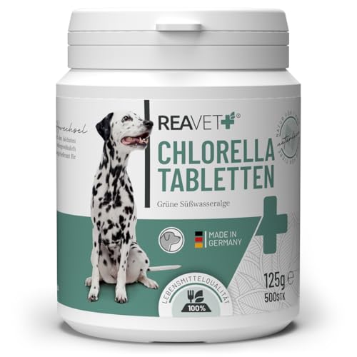 ReaVET Chlorella Tabletten für Hunde 500 Stück – Hochdosiert in Lebensmittelqualität, Mikroalge unterstützt Haut & Fell, Chlorella Algen Tabletten viel Protein