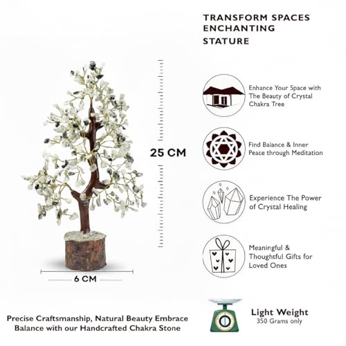 Image of JD Fresh Certified Moonstone Crystal Chakra Tree /Handcrafted Gemstone Tree /Money Tree /Encased Bonsai Tree for Peace, Calm & Positive Energy /Money Tree for Home Decor, Office Desk & Gift Item