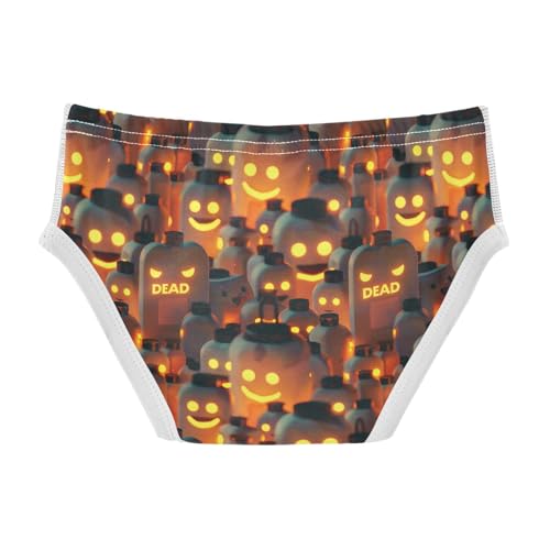 visesunny Boys Potty Training Underwear Death Jar Lamp Breathe Cotton Briefs Size 2T-8Y for Toddler2