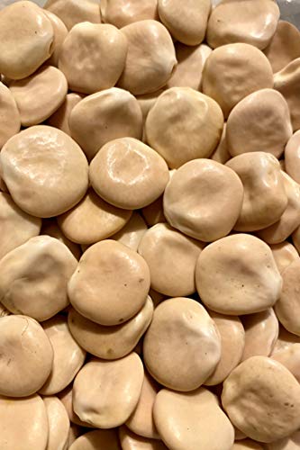 Preisvergleich Produktbild Thysanotusversand Essbare Süßlupine Dolce Grande 15 Samen