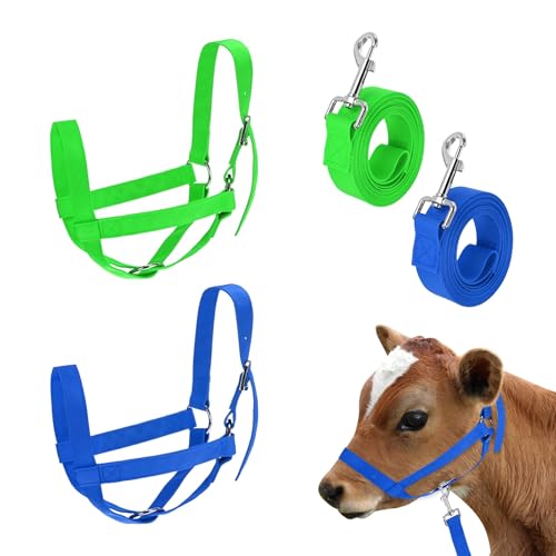 M METERXITY 2-Pack Adjustable Cattle Cow Calf Halter 12.6-18.9 Nylon Livestock Cow Halter with Leading Rope for Miniature Horse/Donkey/Goat/Cattle [Green Blue]