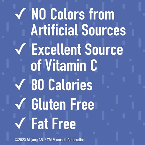 Betty Crocker Minecraft Kids Fruit Flavoured Snacks, Fat Free & Gluten Free Snack, Value Pack, 500ml (22 Bags)