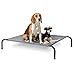 Bedsure Hundeliege Outdoor kleine Hunde - Hundeliege grau in und Outdoor Garten, für draußen Camping erhöhtes Hundebett, Größe in M 90x63 cm, höhe in 20 cm