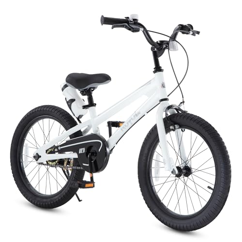 Royalbaby Freestyle Outdoor Children's Bicycle...