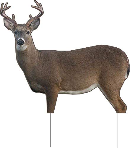 TCDesignerProducts 2D Decoy