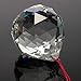 Petrichor Clear Crystal Hanging Ball Feng Shui Prisms Sun-Catcher Window Decorative Good Luck Prosperity - Home Decoration/Gifting (40 MM)