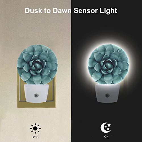 Image of EKOBLA Cactus Night Light, Green Tropical Plant Night Lights Plug Into Wall with Dusk to Dawn Auto Sensor for Bathroom, Hallway, Kitchen and Indoor Home Decor