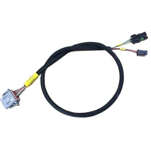 AEM 30380521 Wiring Harness Amazon.in Car & Motorbike