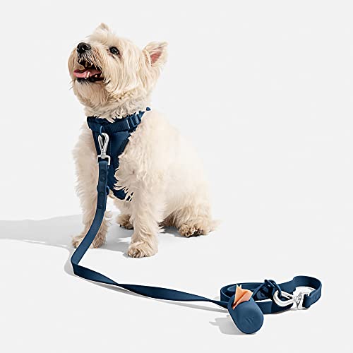 Wild One Harness 2.0 - Small - Blue - Thumbnail 4