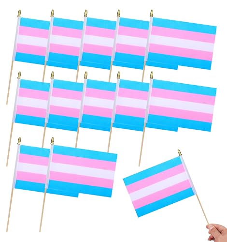 HSQCEZ 12Pcs Small Transgender Rainbow Pride Stick Flags on Wooden Stick Mini LGBT Gay Flag Hand Held Flag Decorations,5x8 Inch