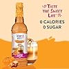 Jordan's Skinny Syrups Coffee Syrup, Pumpkin Caram... #4
