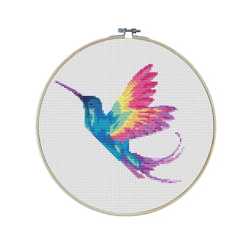Rainbow Hummingbird Premium Cross Stitch Kit - Everything Included - 10 Inch Hoop, Needle, DMC Thread, Fabric, and Easy-to-Follow Instructions