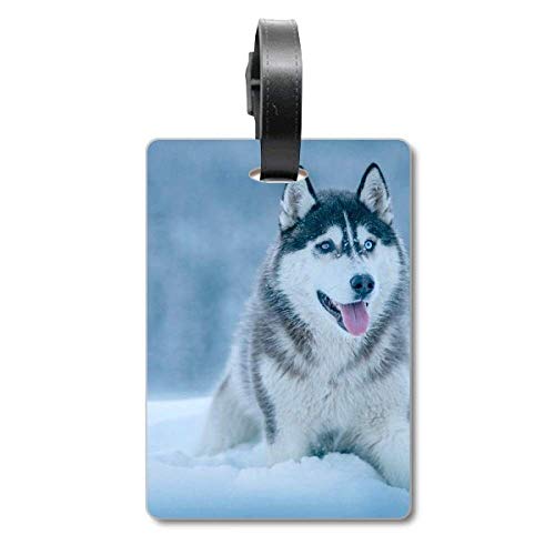 Étiquette valise Husky anti-perte pour identifier rapidement un sac