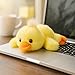 Mushymallow Adorable Duck Stuffed Animal Soft Duck Plush Toy Cute Birthday Gifts for Boys Girls Kids Toddlers
