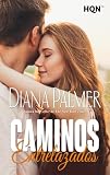 novelas romanticas harlequin pdf  Caminos entrelazados: 317 (HQN)