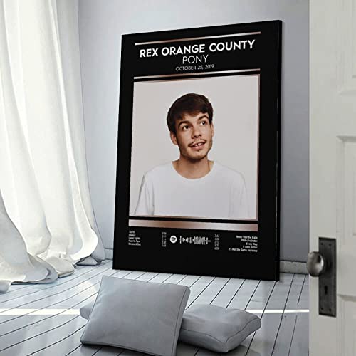 Poster Rex Orange County PONY décoration salon chic moderne - 3