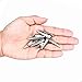 35mm Metal Alligator Clip (Pack of 100pcs)