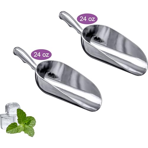 Amazing Abby - Elsa - 24-Ounce Aluminum Ice Scoops (Set of 2), Cast Aluminum Utility Scoops, Food-Grade, Good for Home and Commercial Use, NOT Dishwasher-Safe, Hand-Wash Recommended