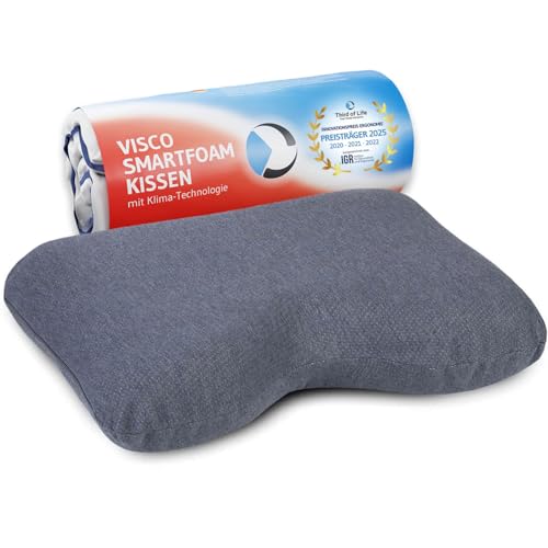 Coussin à Mémoire de Forme GIANFAR...