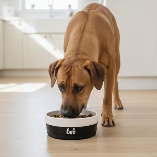 Personalisierter Duke Keramik-Futternapf 1130 ml (L) Schwarz-Weiß – rutschfest, leicht und hygienisch – Futter- und Wassernapf für mittelgroße und große Hunde – personalisiert mit Namen – Petslino