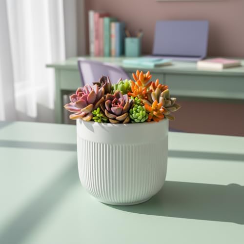 Image of Xtore Refined Ceramic Ribbed Planter with Base | Medium Round Plant Pot for Desk, Shelf & Corner Decor - (White, 1 Piece, Planter ONLY)