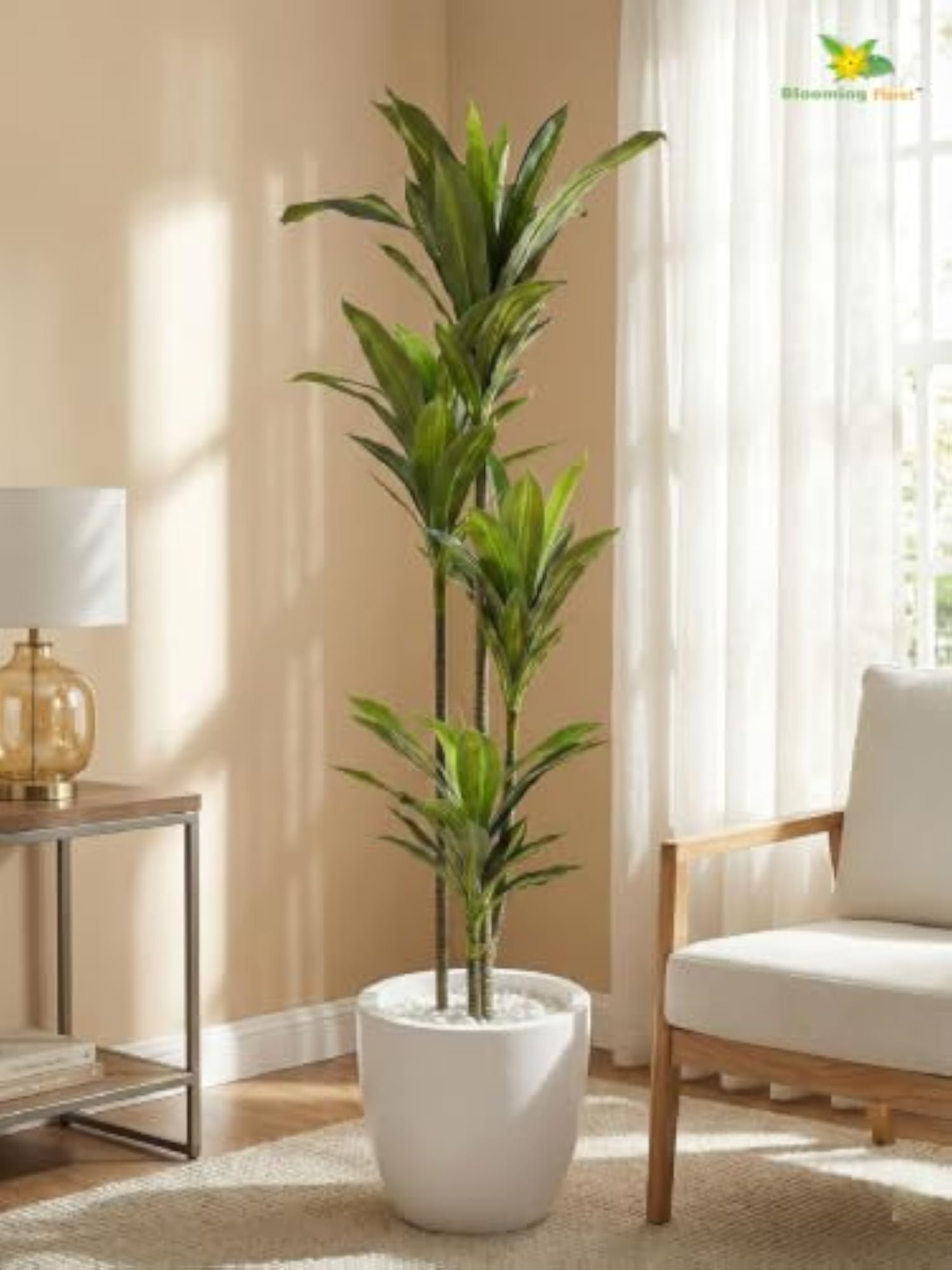 Premium Artificial Dracaena Plant with Basic Pot