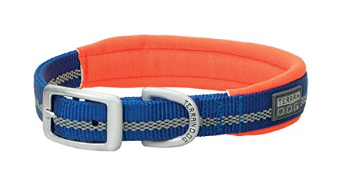 Terrain D.O.G. Reflective Neoprene Lined Dog Collar