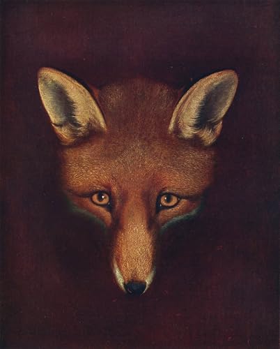 Oeuvre d'impression renard sur toile de qualité premium pour décoration haut de gamme